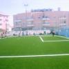 torneio25abril05